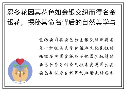 忍冬花因其花色如金银交织而得名金银花，探秘其命名背后的自然美学与文化寓意